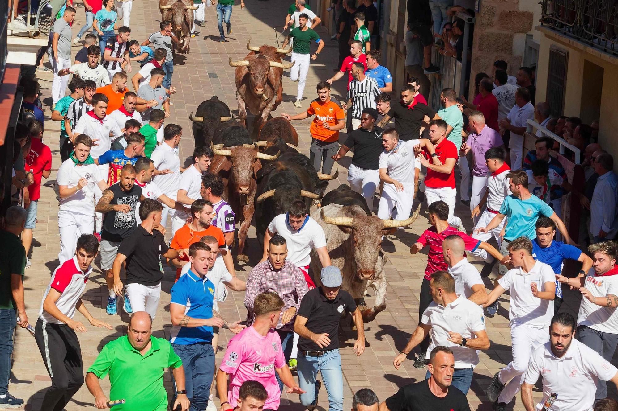Las imágenes del primer encierro de las fiestas de Almassora