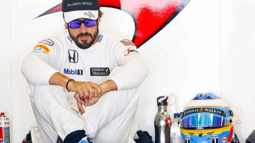 Fernando Alonso.