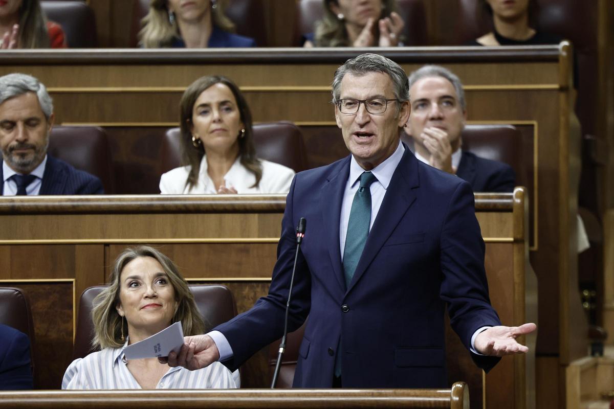 El presidente del PP, Alberto Núñez Feijóo, interviene en la sesión de control al Gobierno celebrada este miércoles en el Congreso.