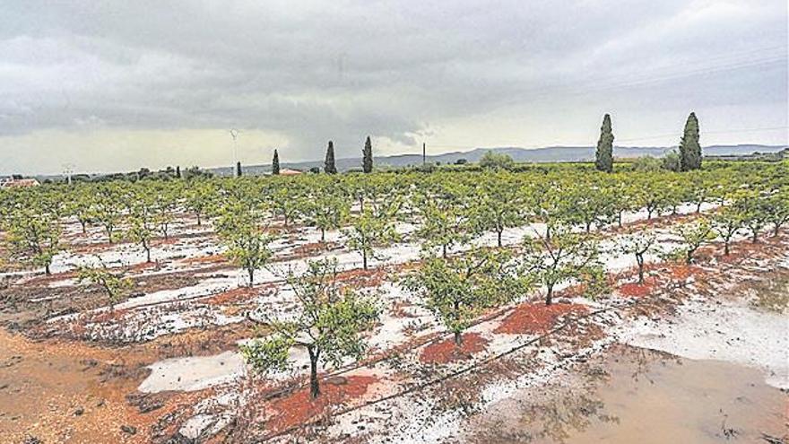 El temporal deja cinco muertos y pérdidas millonarias en la Comunitat Valenciana