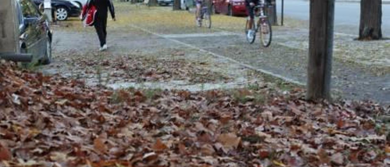 La contrata de basuras de Alcoy no incluye la recogida de la hoja en otoño