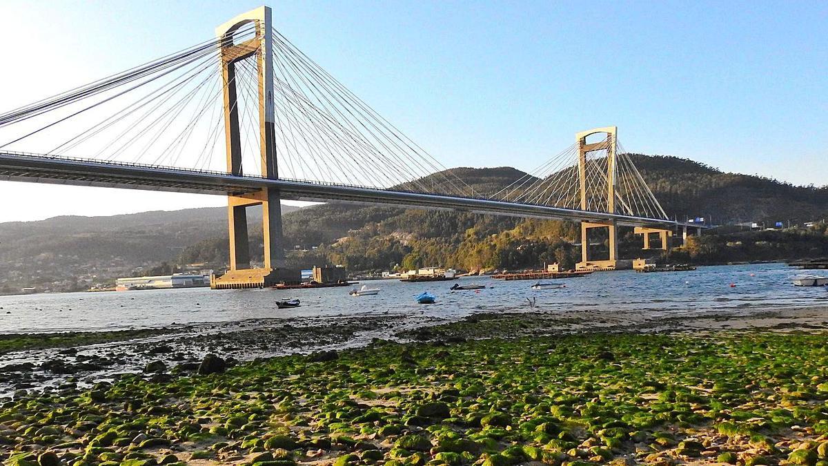 Bajo el puente de Rande