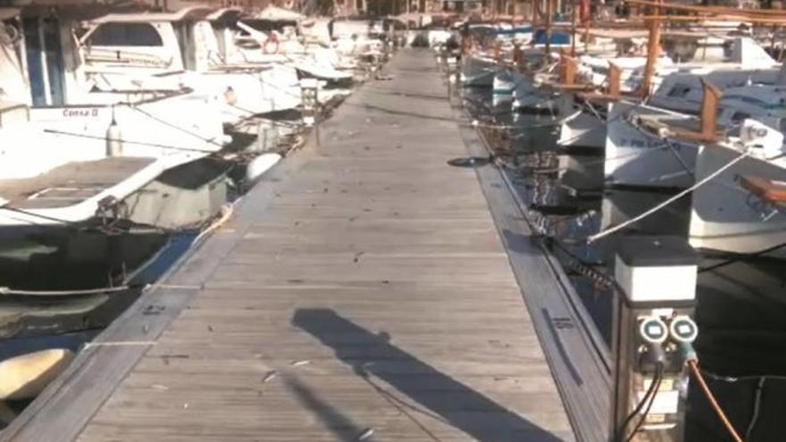 Die Fischkadaver lagen zu Hunderten auf dem Bootssteg in Port de Sóller.