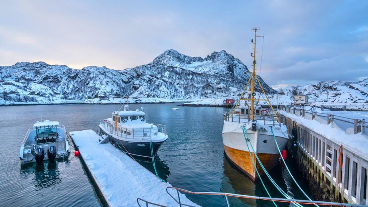 Skei, el bacalao atlántico apodado el 'pata negra' noruego