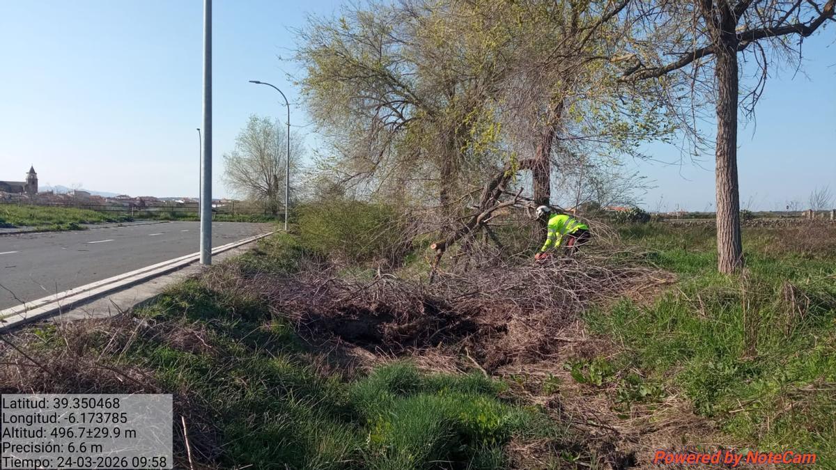 Cauces de Torremocha en ejecución.