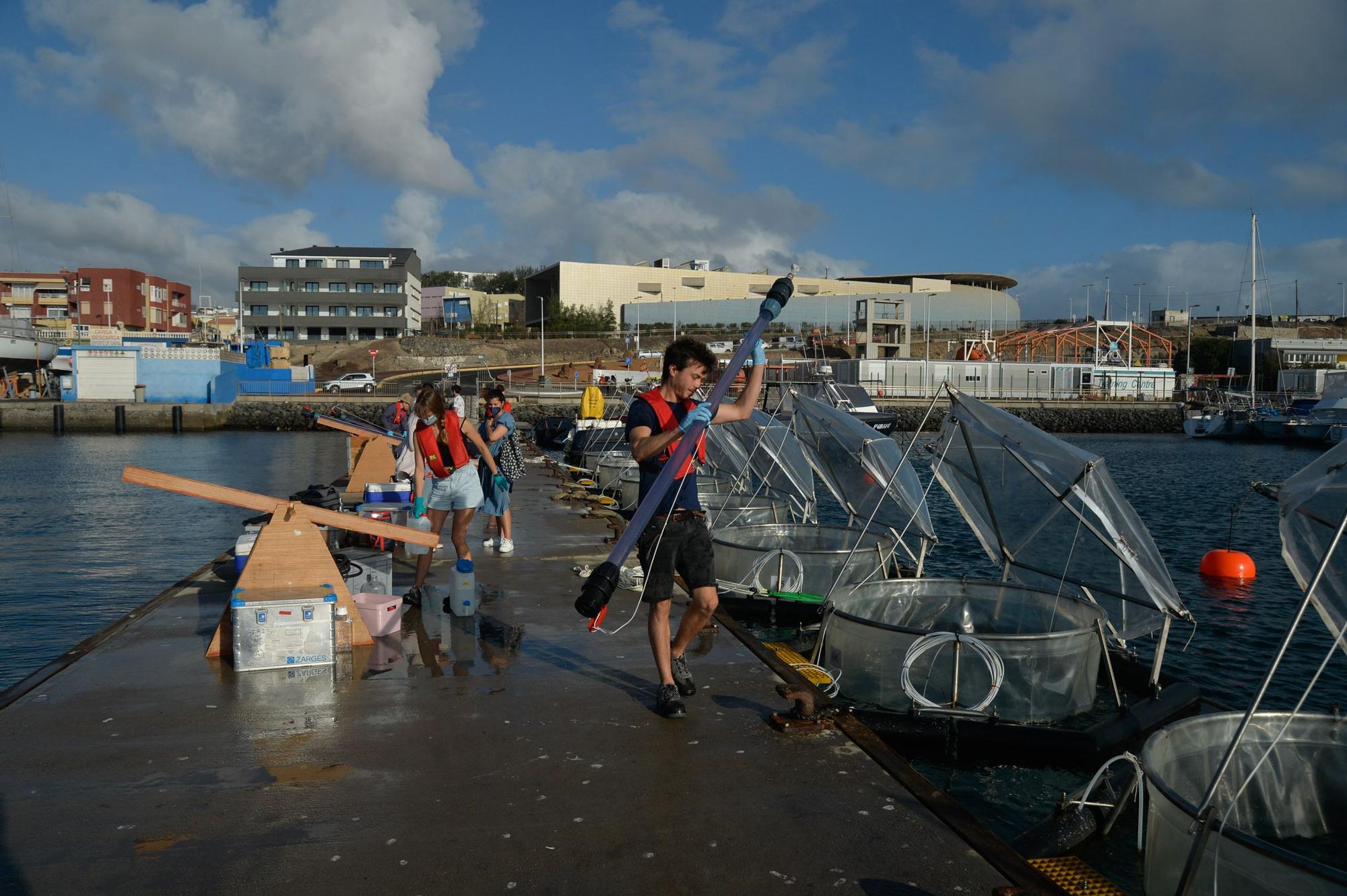 Experimento en el mar para averiguar como eliminar dióxido de carbono