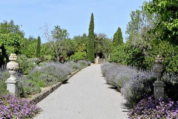 Der Garten von Gritli und Hans Liesenhoff zählt zu den beeindruckendsten Mallorcas. Er vereint Pfl anzenvielfalt und ornamentale Gestaltung mit Philosophie und Poesie.