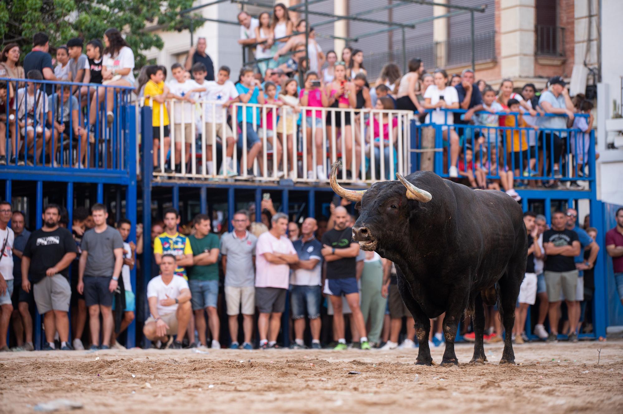 El primer día de fiestas en Burriana en imágenes