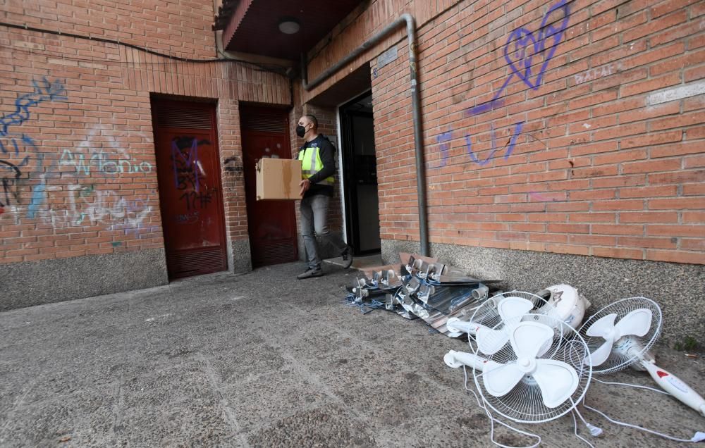 Hallan 300 plantas de marihuana en una casa del barrio del Infante de Murcia