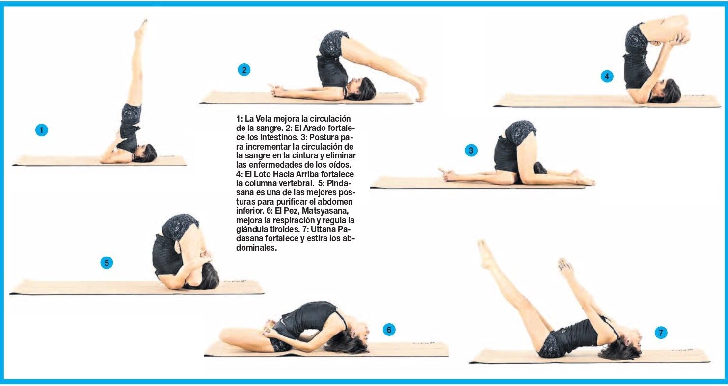 Tipos de yoga más practicados y sus características - Ejercicio