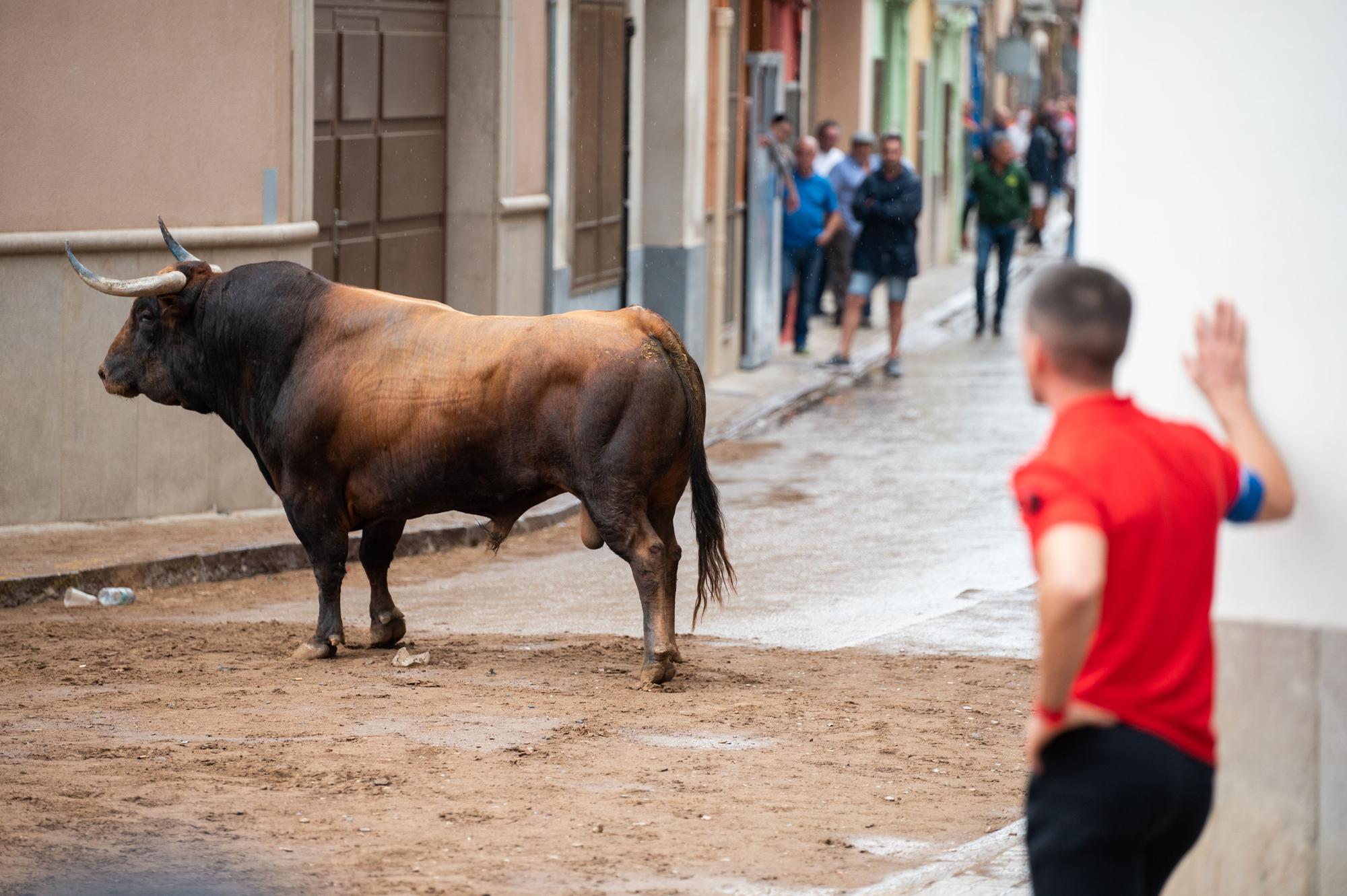 Las fotos de una tarde taurina de Almassora de luto y pasada por agua