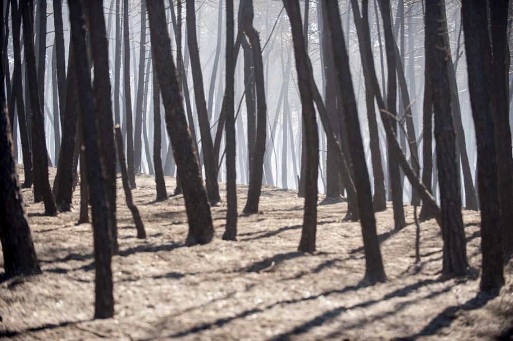 Incendio de Verín y Vilardevós