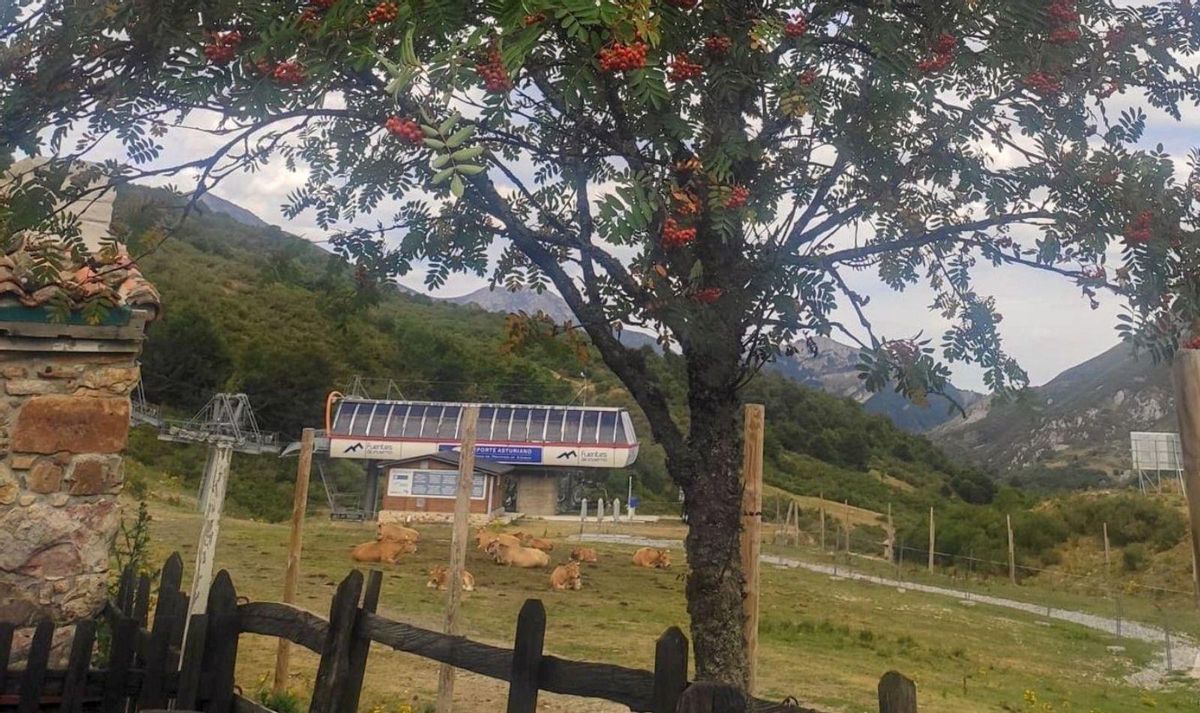 El intenso verano del deporte de invierno