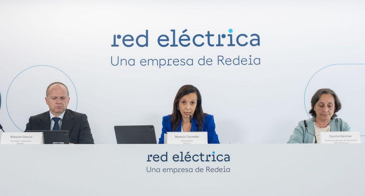 REE demana mesures "urgents" a la CNMC per risc d’apagada REE demana mesures "urgents" a la CNMC per risc d’apagada