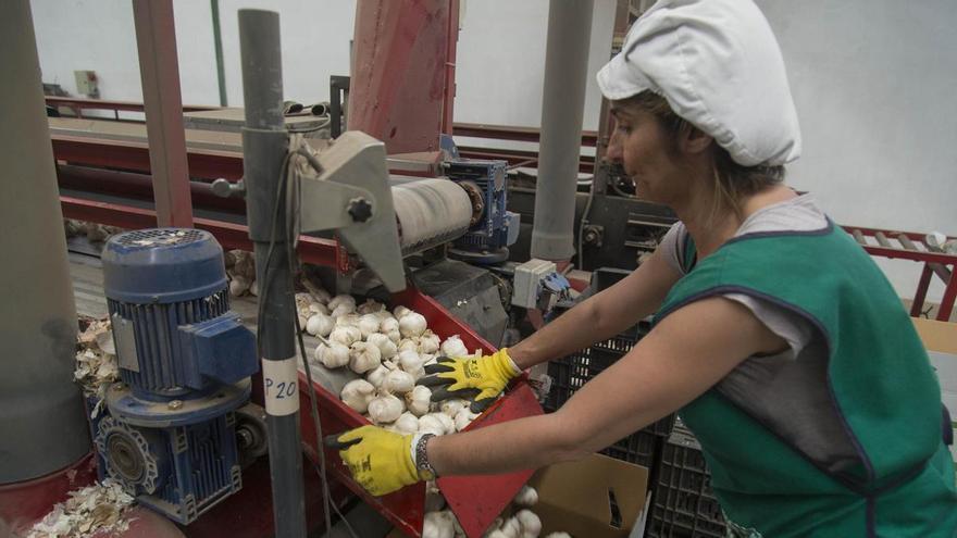 La Diputación de Córdoba pagará a las empresas 6.750 euros por cada contrato indefinido de mujeres vulnerables