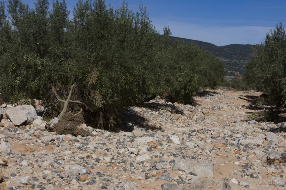 Abren el tramo afectado por las lluvias en la Font de la Figuera