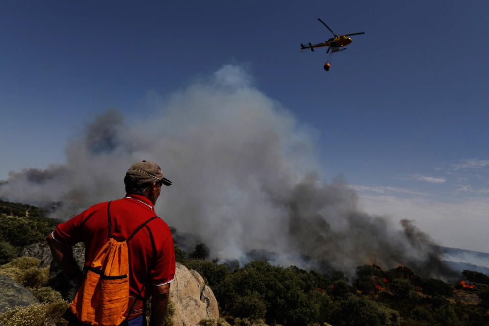 Incendio Pino del Oro y Castro de Alcañices