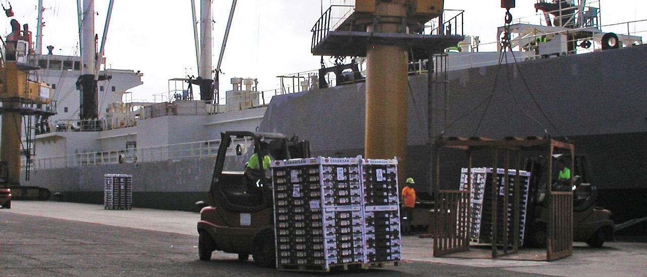 Un instante de la carga de palés de tomates canarios para su exportación.