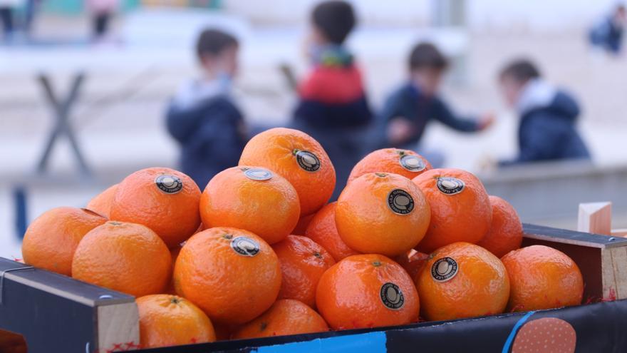 La producció de taronges cau un 25% i la de mandarines un 14%