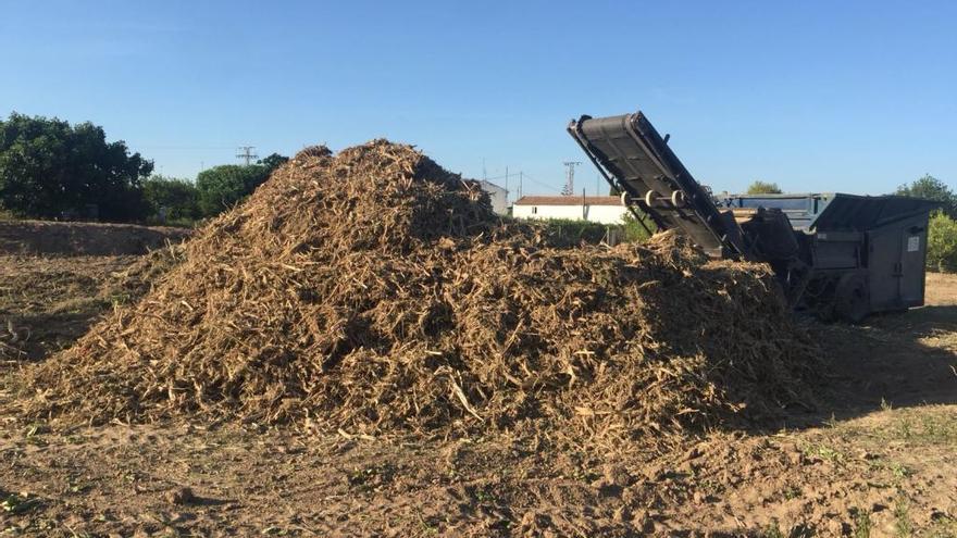 Trituración de restos de poda para enriquecer el suelo