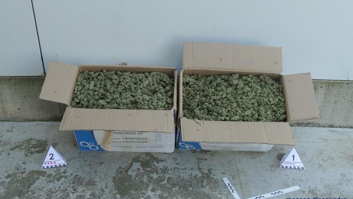 Els detenen  per transportar més de nou kg de marihuana, a Maçanet de Cabrenys