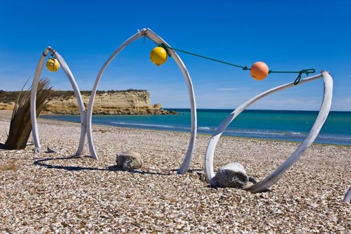 Restos de Ballena franca austal en Playa Larralde, Peninsula Valdes.
