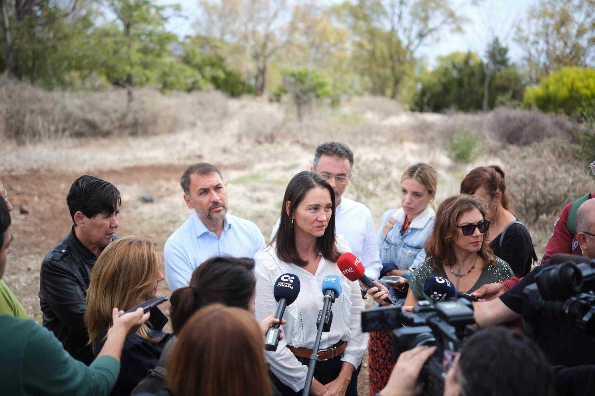 Recuperación ambiental en el Parque de Las Mesas