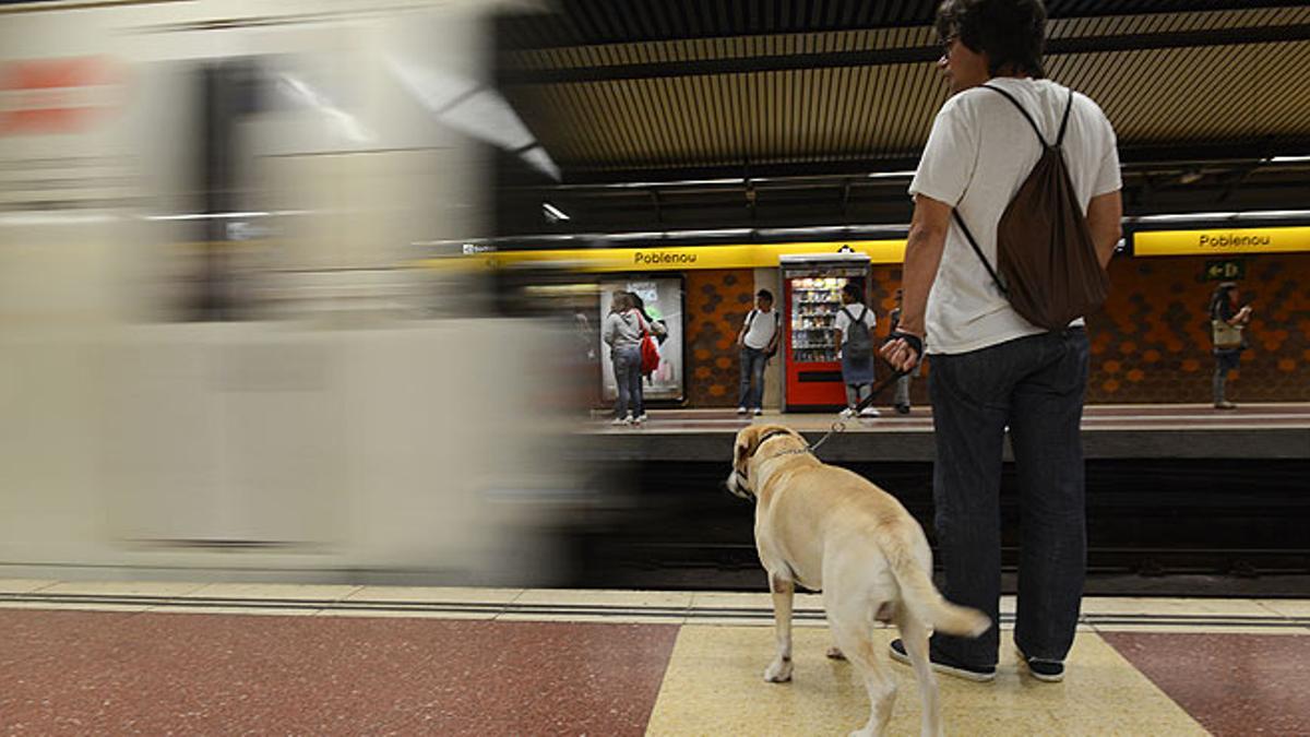 Los perros ya viajan en el metro de Barcelona