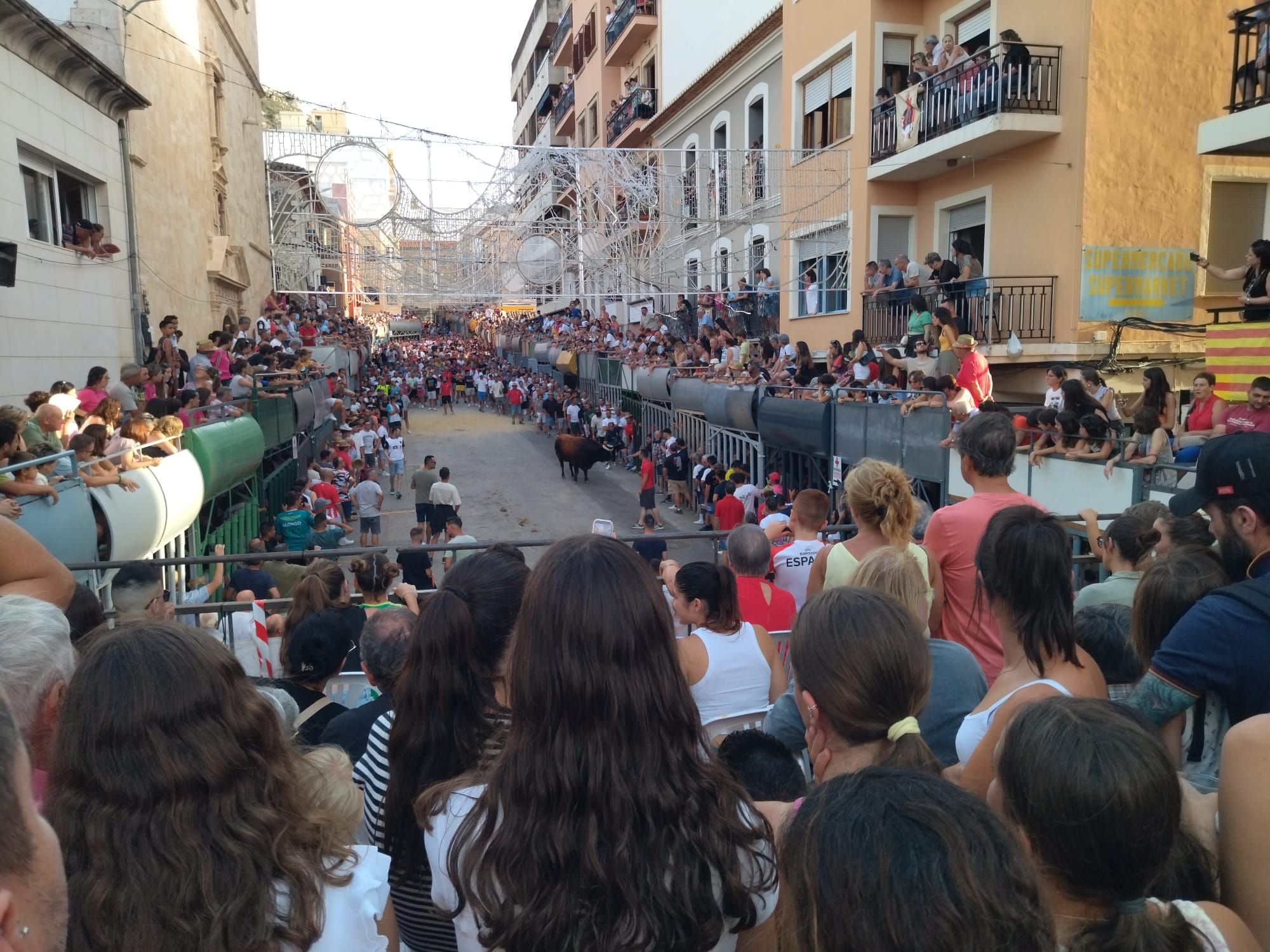 Pasión por los "bous al carrer" en Pedreguer