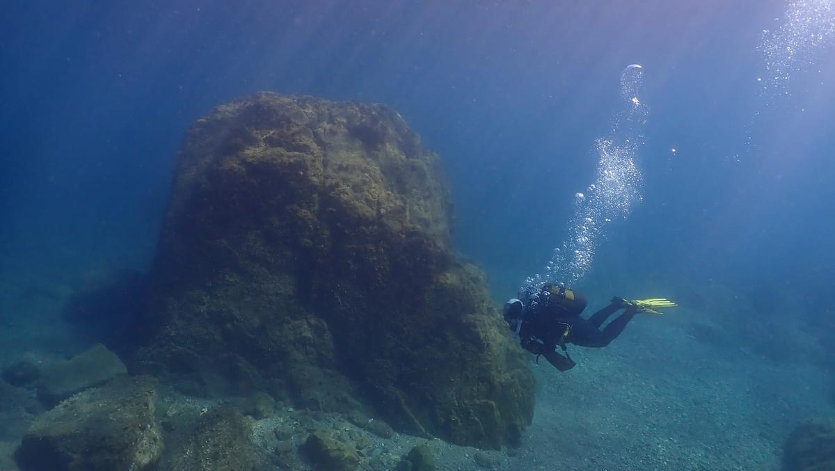 Poques algues i massa eriçons: els deserts submarins avancen al Mediterrani