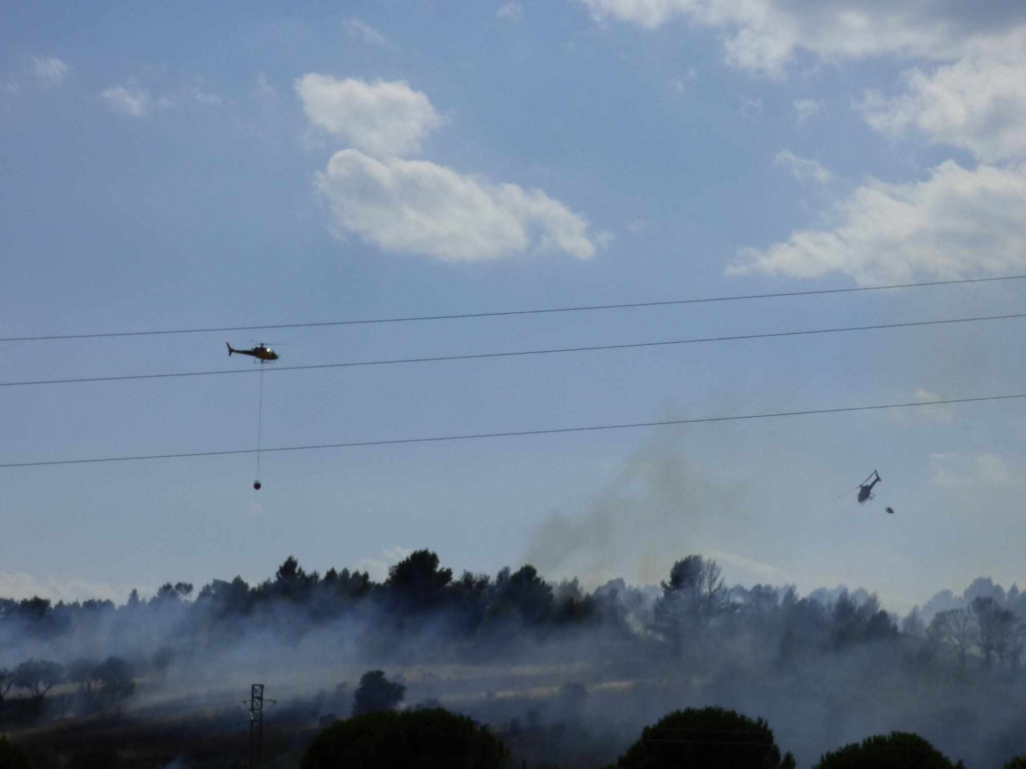 Un incendi ha cremat 3,5 hectàrees al costat de l'Ap7 a Vilafant