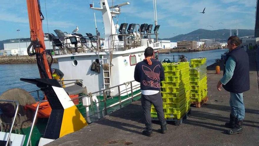 Varios marineros descargan pescado de un cerquero tras una jornada de trabajo.