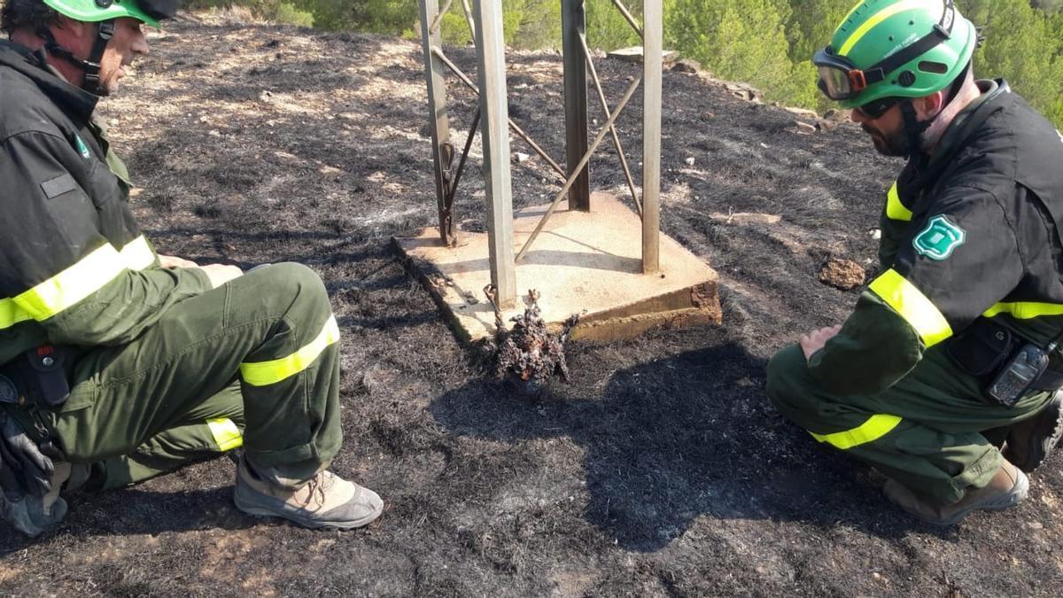 Dos agents rurals amb l'ocell que va provocar l'incendi de Bufalvent