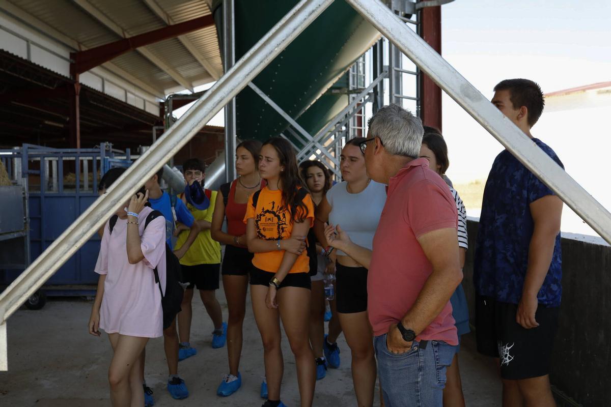 GALERÍA | Cerecinos del Carrizal, sede de un "Campo de Voluntariado"