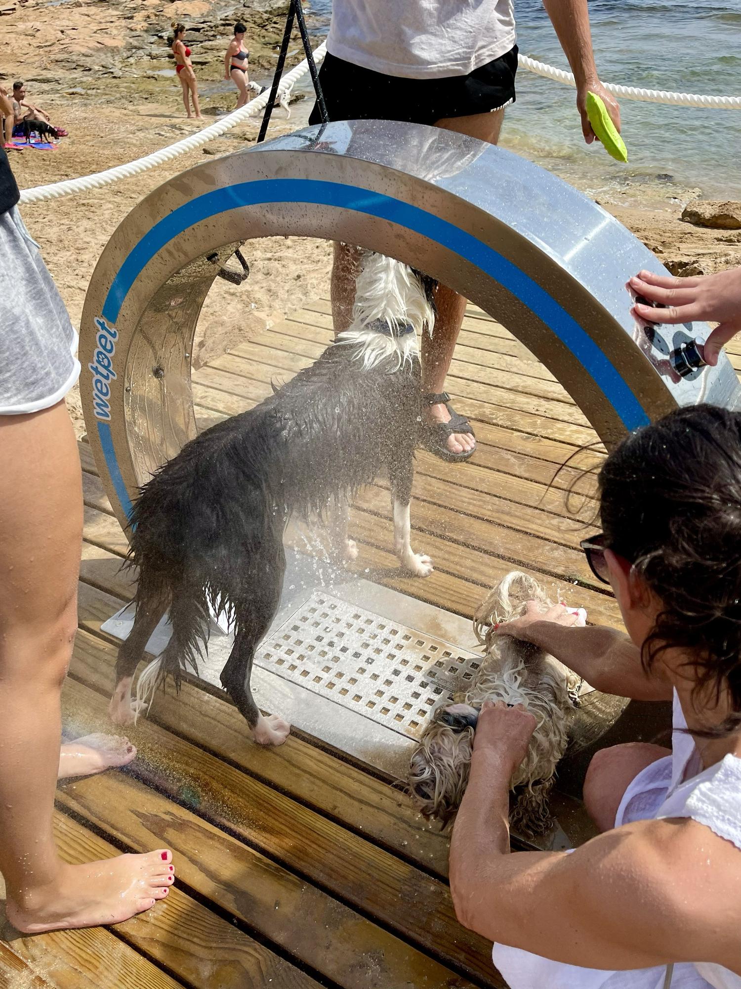 Ducha en la playa canina de Torrevieja