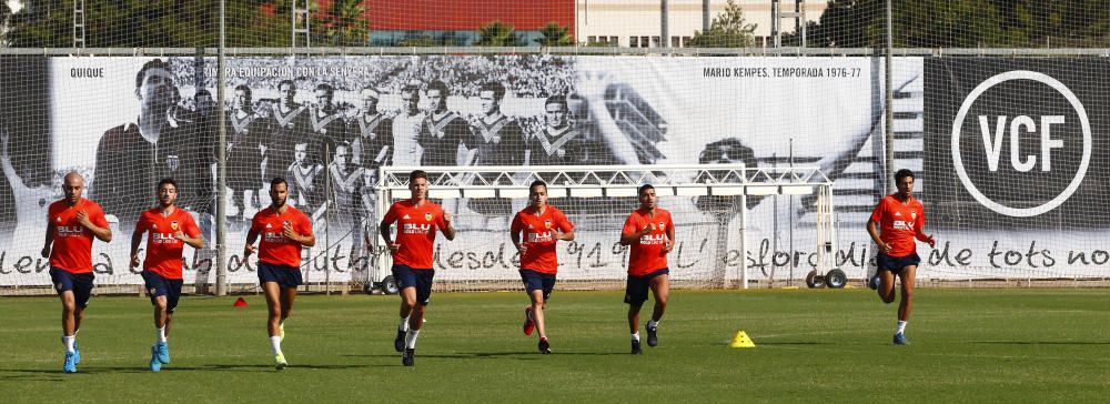 Primera toma de contacto con el césped