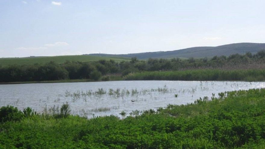 Ecologistas piden convertir las balsas de riego «en islas de biodiversidad»