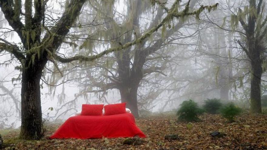 Imagen de una cama roja, dentro de la serie &#039;Islas Camarias&#039; de González. | lp / dlp