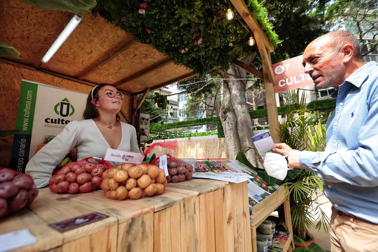 Inauguración de Agrocanarias en la Alameda del Duque de Santa Elena