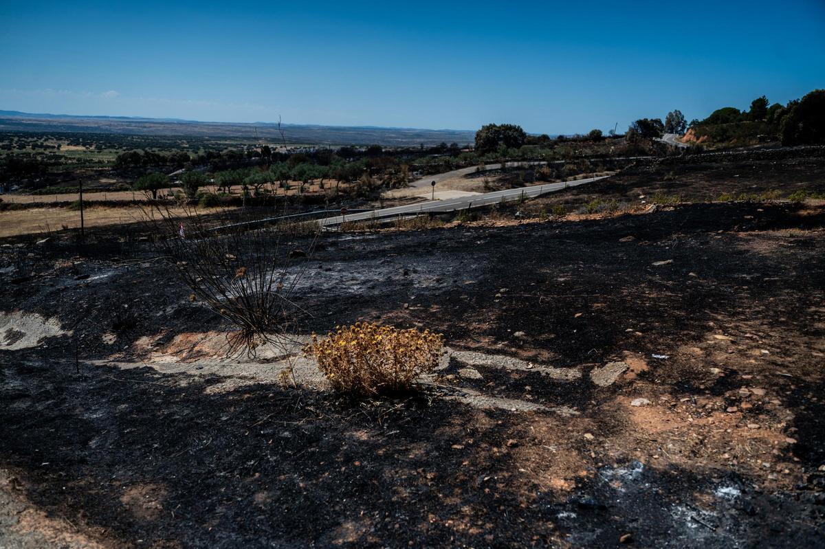 Fotogalería | Casas de Millán: un día después del incendio Fotogalería | Casas de Millán: un día después del incendio