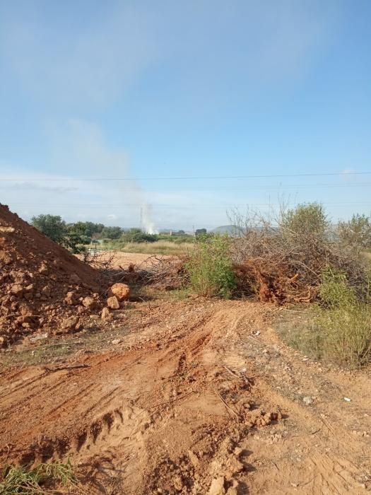 Vista del incendio, a media mañana, desde el Pantano.