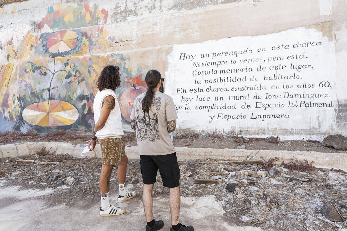 Un detalle del proyecto de Ione Domínguez, 'Hay un perenquén en esta charca'.