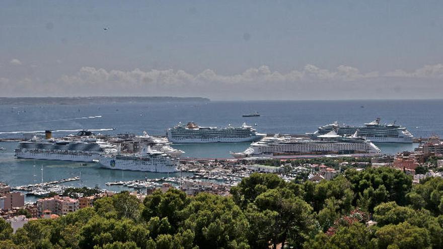 Das kann nicht gesund sein, meinen die Kritiker: Kreuzfahrtschiffe im Hafen von Palma.