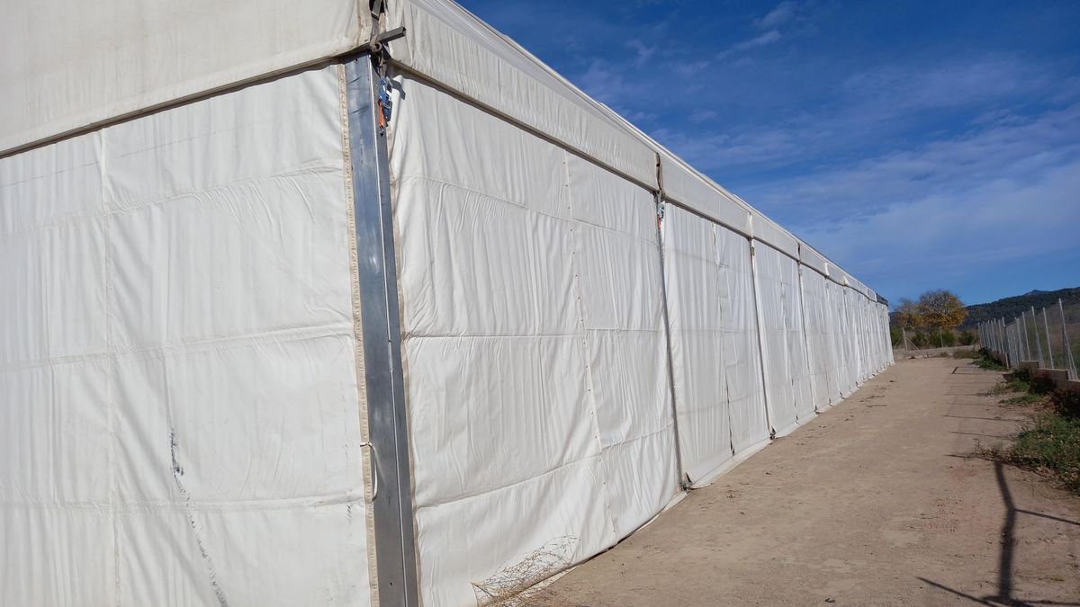 El Ayuntamiento de Segorbe está instalando una carpa en el verbenódromo.