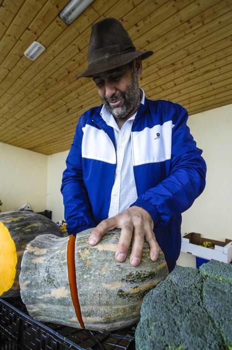 Mercado de berros a 1 euro en Ingenio