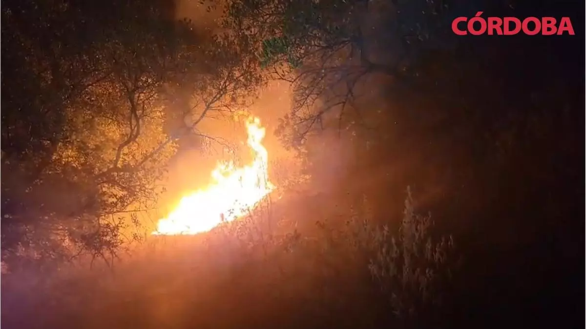 La noche en la que 300 cordobeses temieron perderlo todo: "El fuego se quedó a una calle de mi casa"