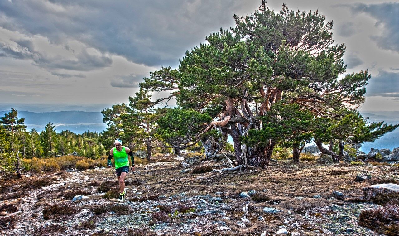 Desafío Urbión, campeonato de España de Trail RFEA