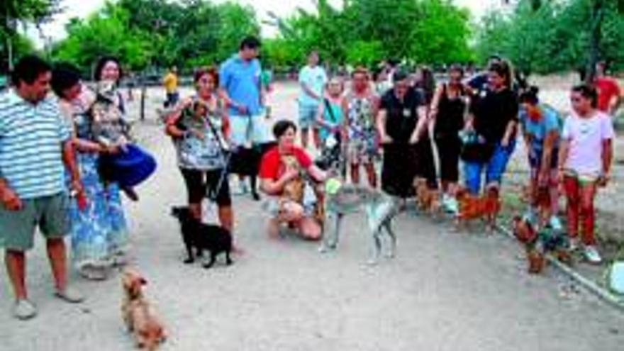 75 perros asisten al primer paseo canino en Don Benito