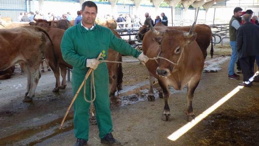 Óscar Gómez con una de las vacas que compró en la feria.