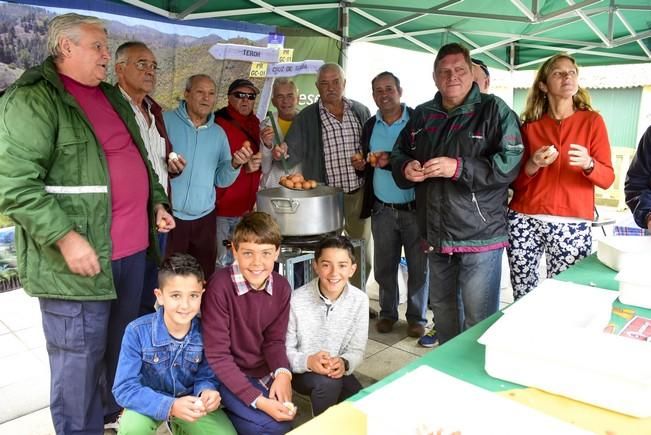 Día grande de las fiestas de San Vicente Ferrer ...